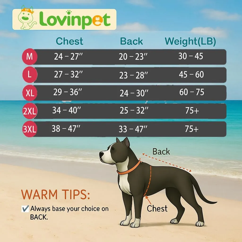 LovinPet Dog Recovery Suit for Large Medium Dogs Cut-Out Design of Abdomen Bodysuit Onesie for Shedding Skin Disease Pet Pajamas Dog Anti Licking Bodysuit for Abdominal Wound After Surgery,3XL